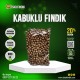 KABUKLU FINDIK 1000GR